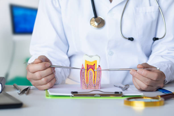 Best Emergency Dentist for Knocked-Out Tooth in Stow, OH